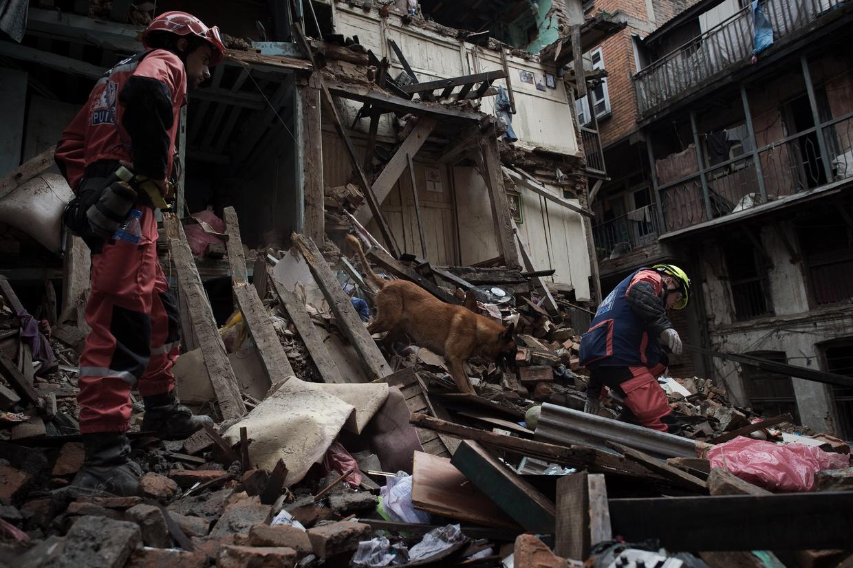 Sniffing out survivors: Dogs deploy after devastating Nepal earthquake