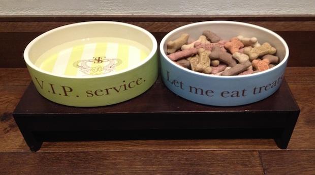 Dog bowls at a Kimpton Hotel 
