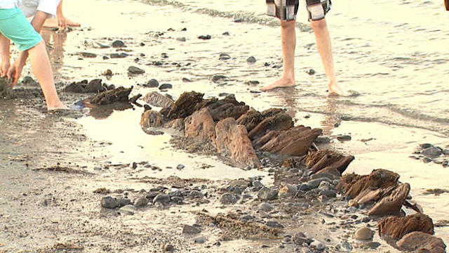 Erosion on Nantucket's Shoreline Reveals Remains of Old Ship – NBC Boston