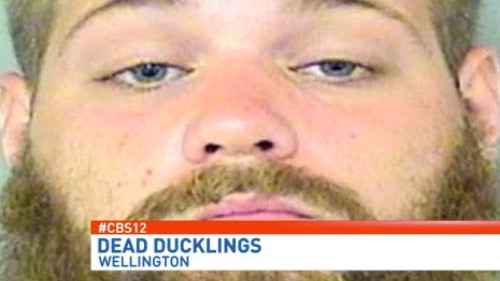 CBS Affiliate WPEC-TV 