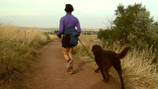Jogging Running Dog Generic 