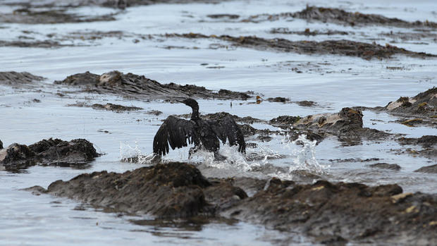 California oil spill 