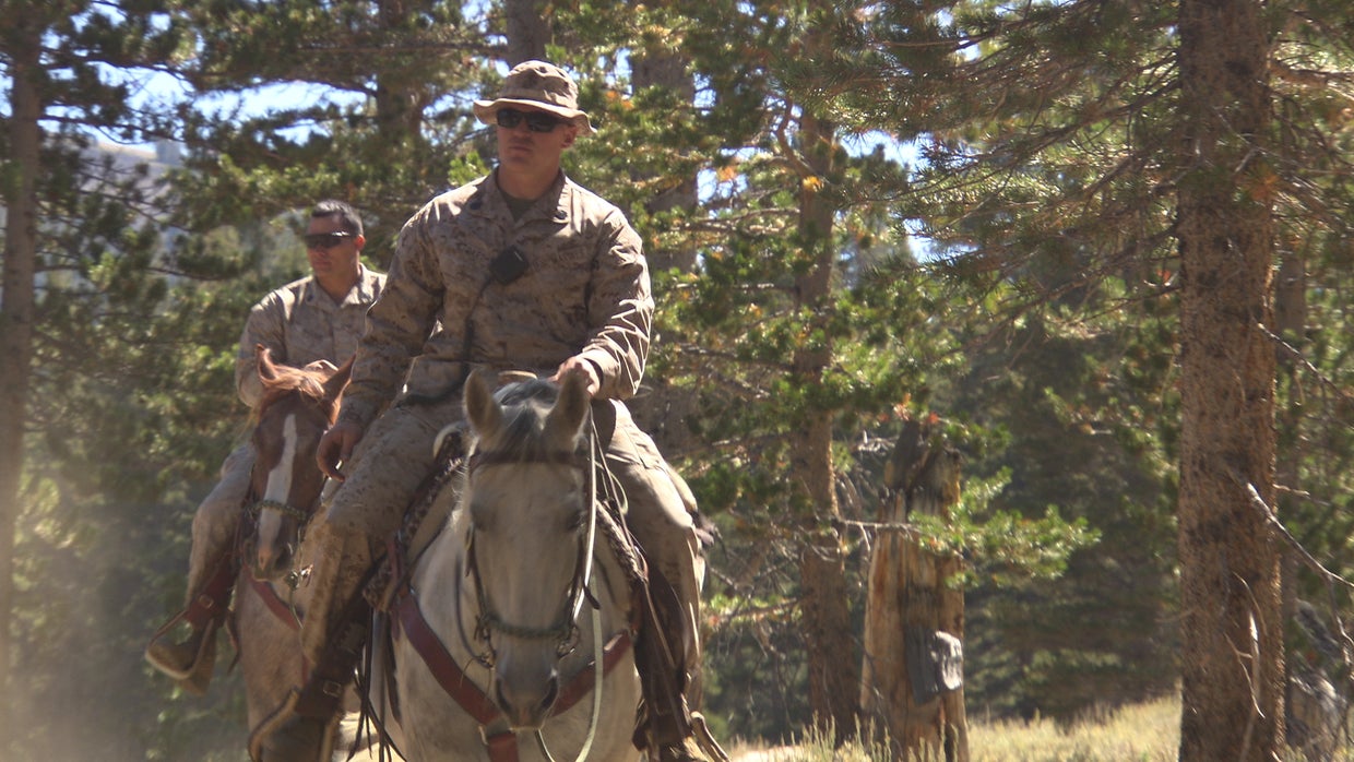 Inside the horseback training for U.S. Special Forces - CBS News