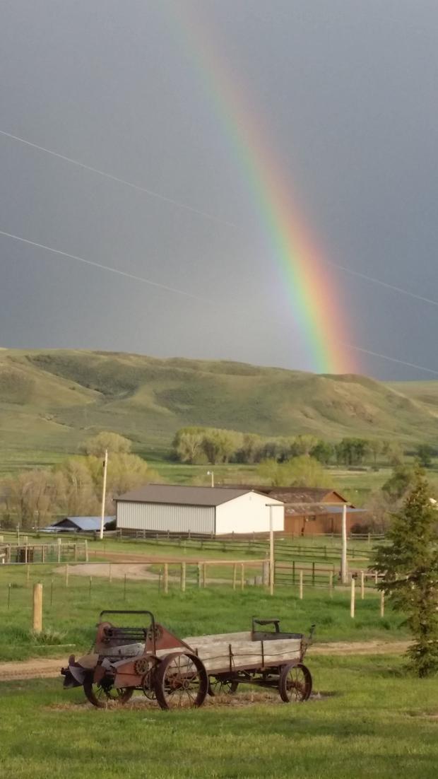 craig-rainbow-from-michelle-foulk.jpg 