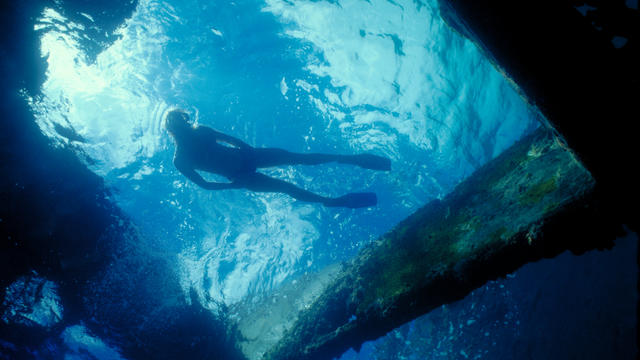 shipwreck-diver.jpg 