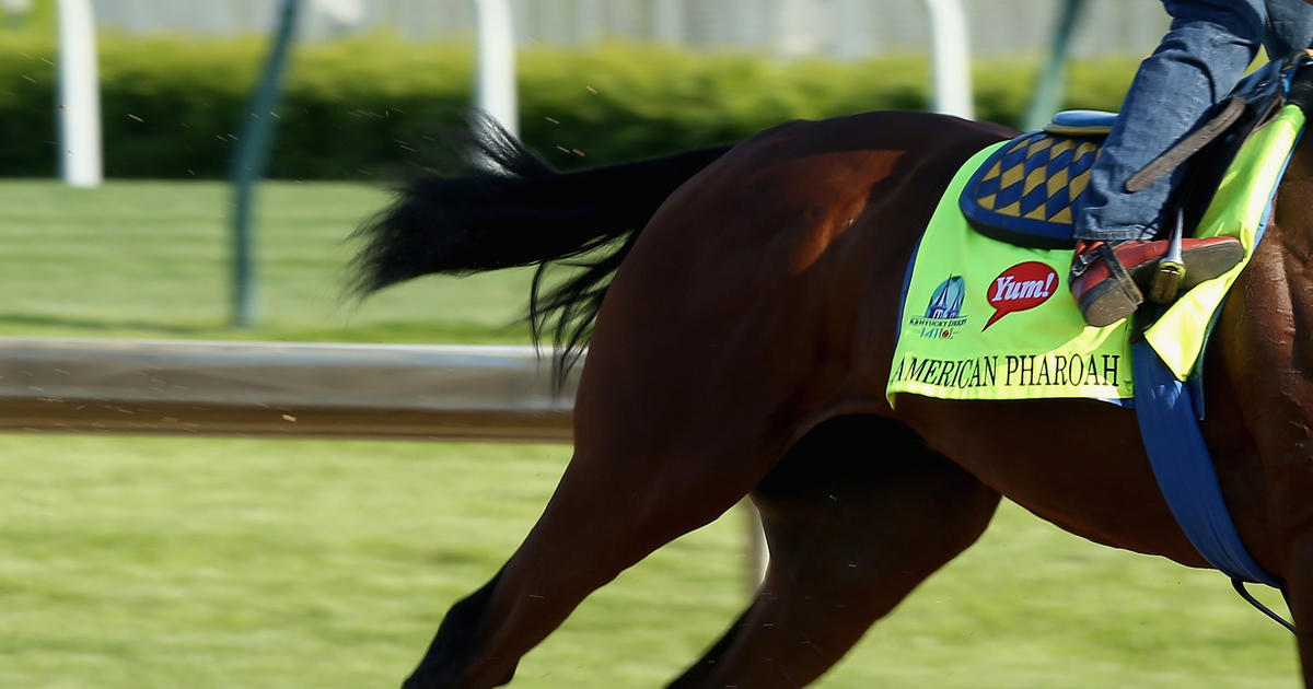 Take a 360-degree GoPro ride on winning horse American Pharoah - CNET