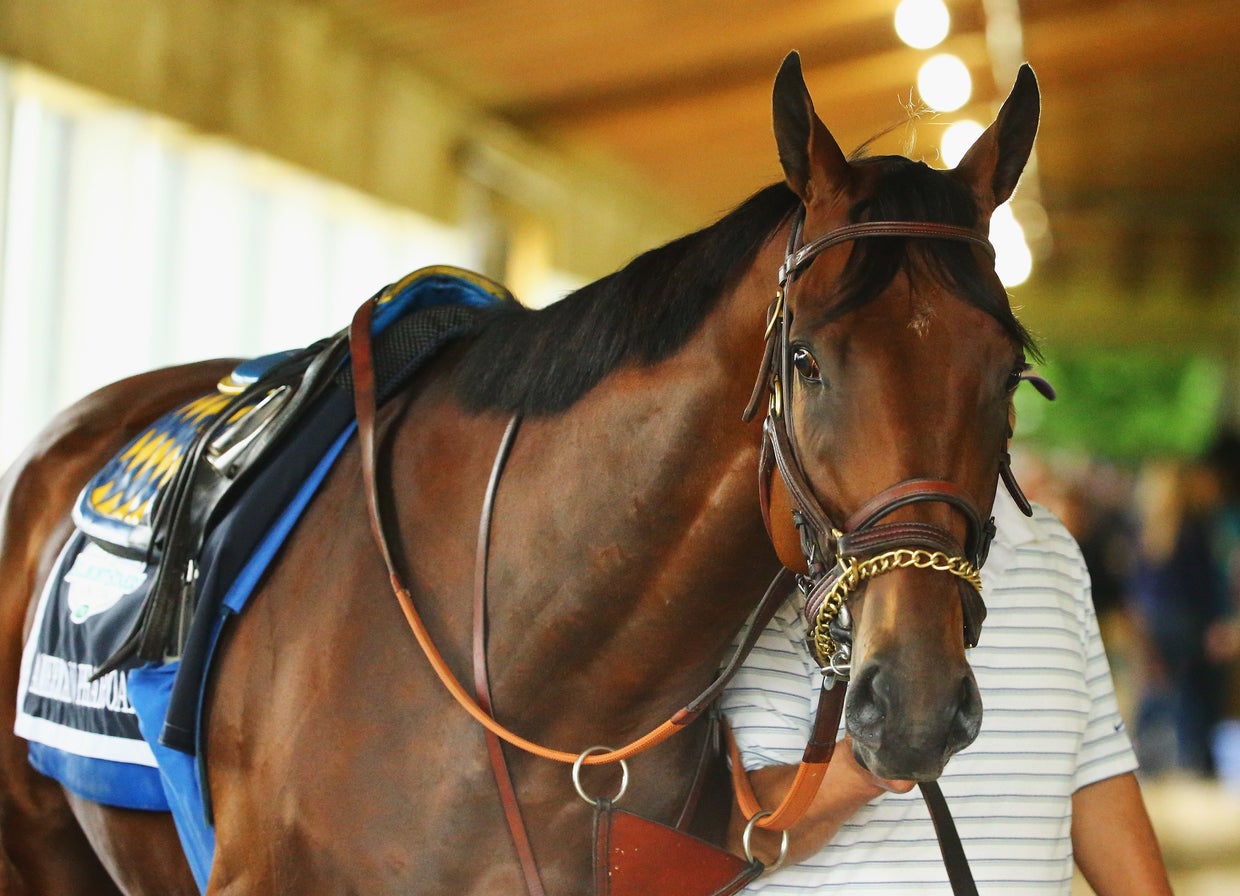 Cool facts about Triple Crown winner American Pharoah