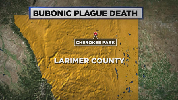 bubonic plague death map 