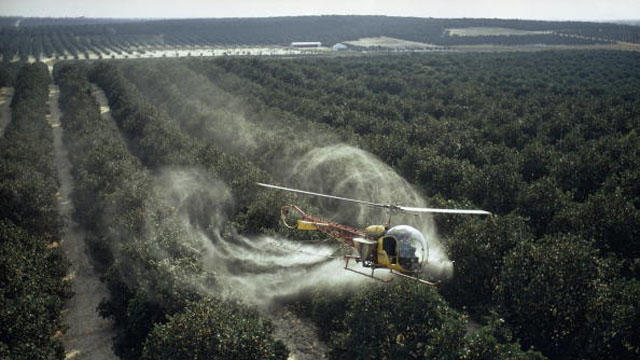 helicopter-crop-dusting.jpg 