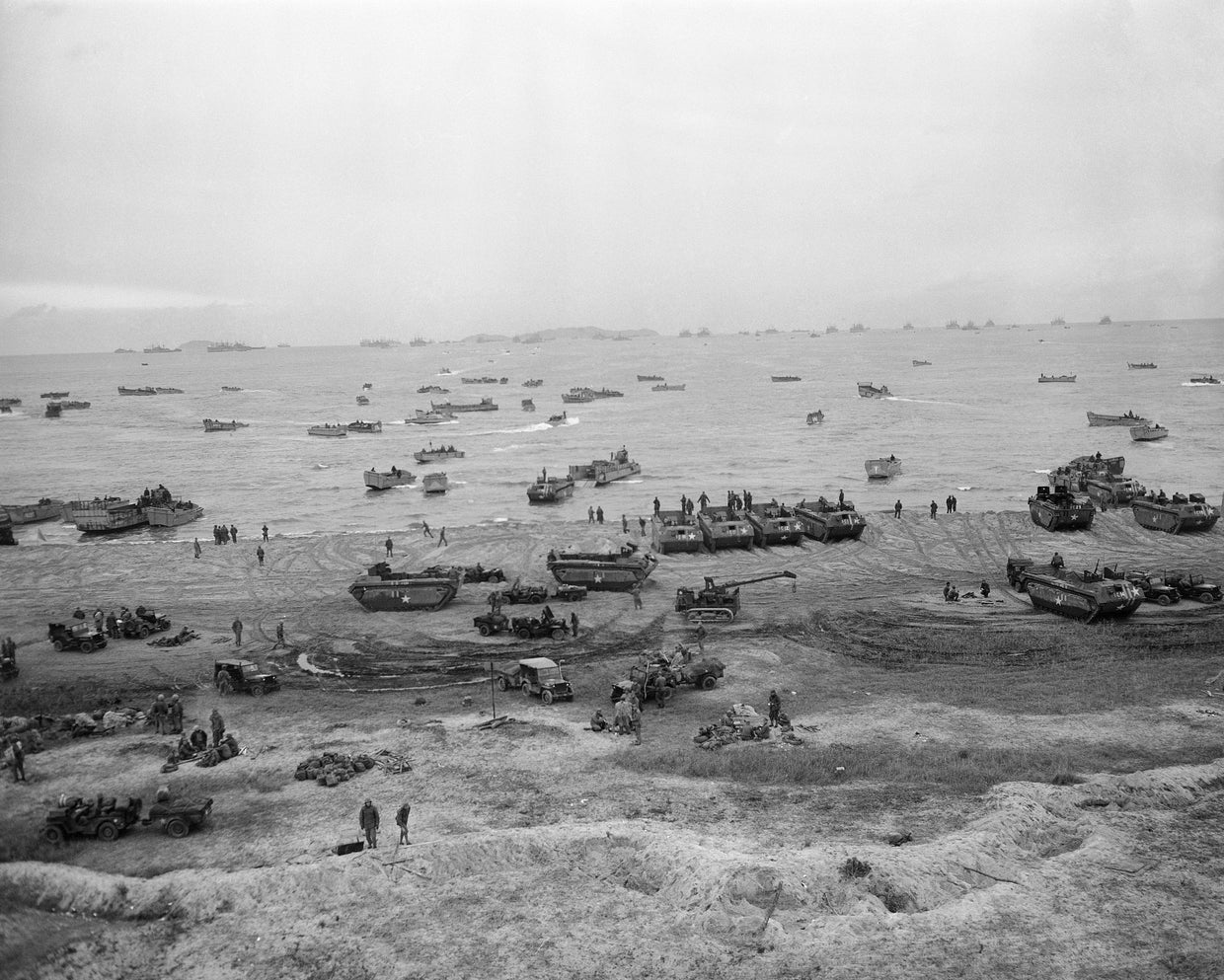 ap5010260155.jpg 
