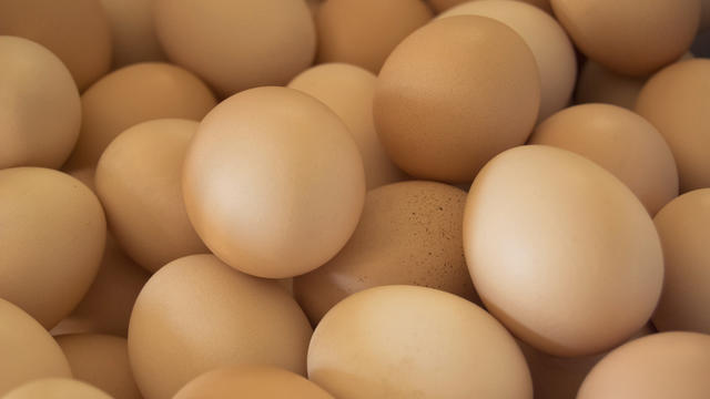 eggs.jpg 