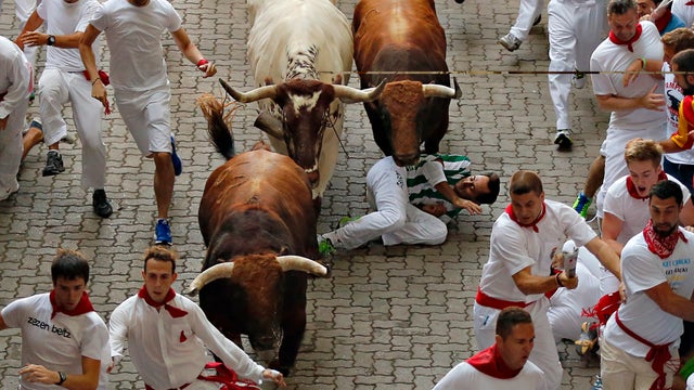 Running of the bulls 