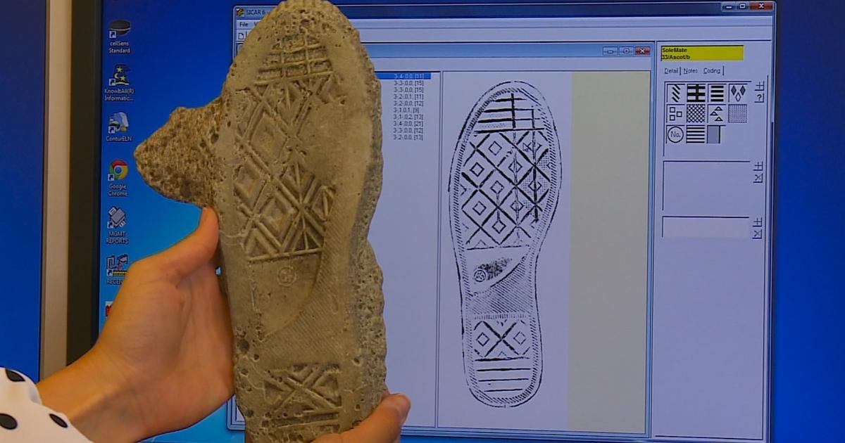 CharaCterIstICs of forensIC shoe sole databases