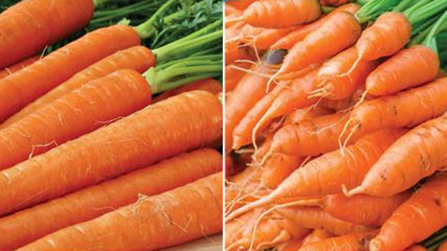 ugly-carrots.jpg 