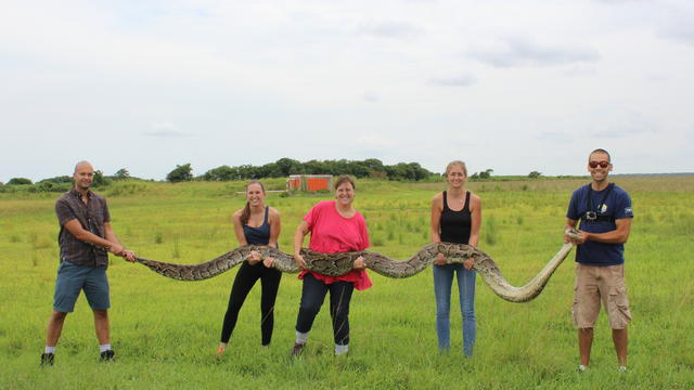 hanslowe-2015-large-python-training.jpg 