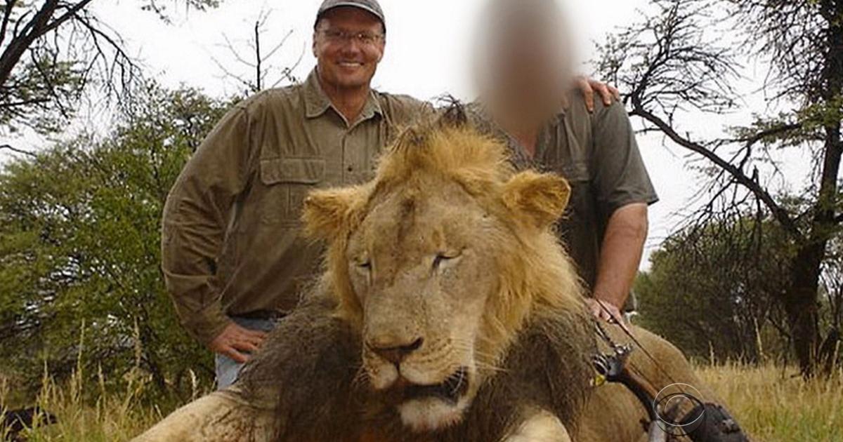 Horrifying details surface about Cecil the lion's gruesome death