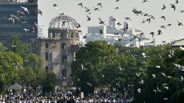 Doves fly over the Hiroshima Peace Memorial Park in western Japan during a memorial ceremony to mark the 70th anniversary of the atomic bombing of Hiroshima 