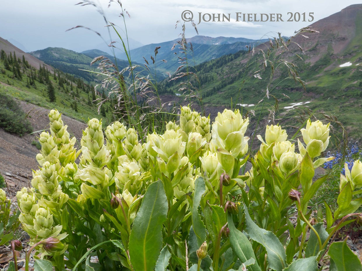 john-fielder-crested-butte-co-2015-11.jpg 