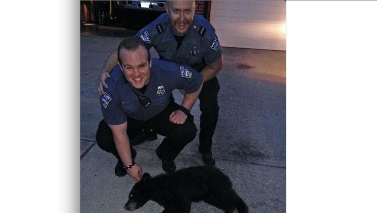 Police help rescue bear cub caught in a jam - CBS News