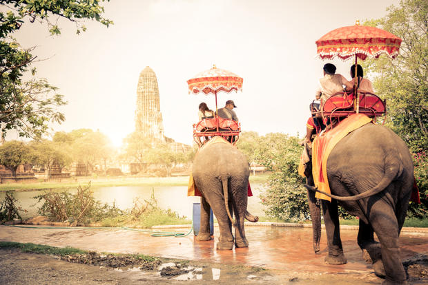 travel elephant 