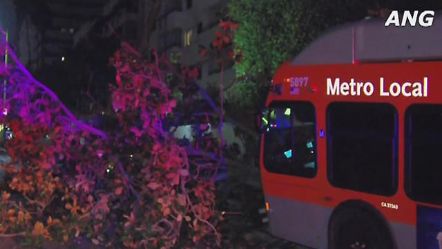 westwood-bus-crash.jpg 