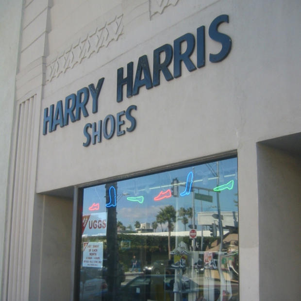harry shoes 