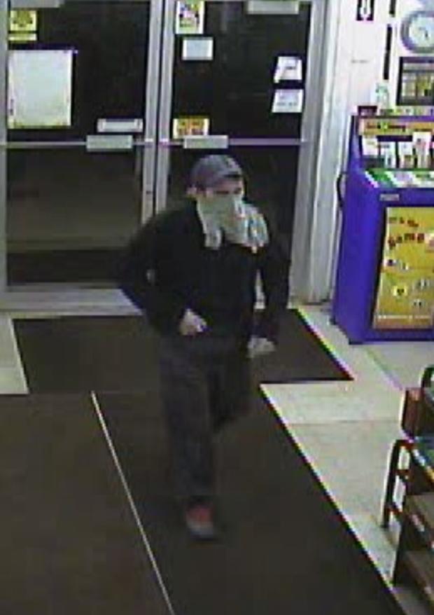 concord robber 