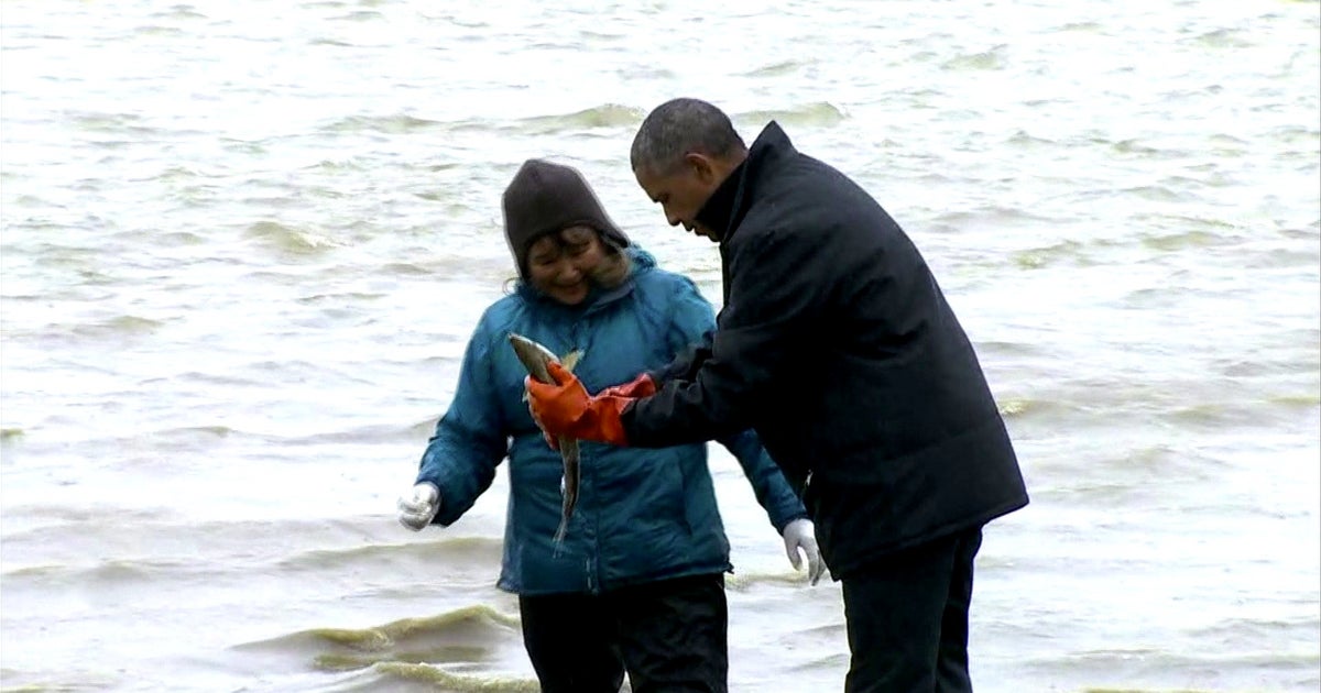 Salmon spawns on Obama during Alaska visit CBS News