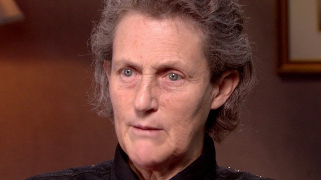 templegrandin1280x960101911442799640x360.jpg 