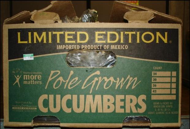 Tainted Cucumbers 