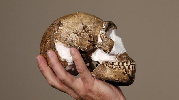 "Almost human" - Homo naledi 