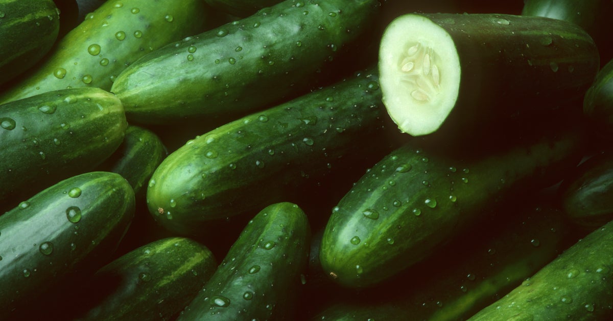 Cucumbers recalled in 14 states due to salmonella risk Cucumbers recalled in 14 states due to salmonella risk