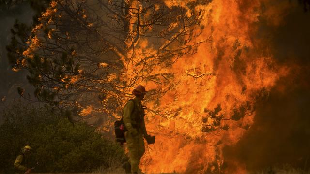 cal-fire.jpg 