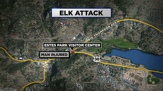 Elk Attack Estes Park MAP 