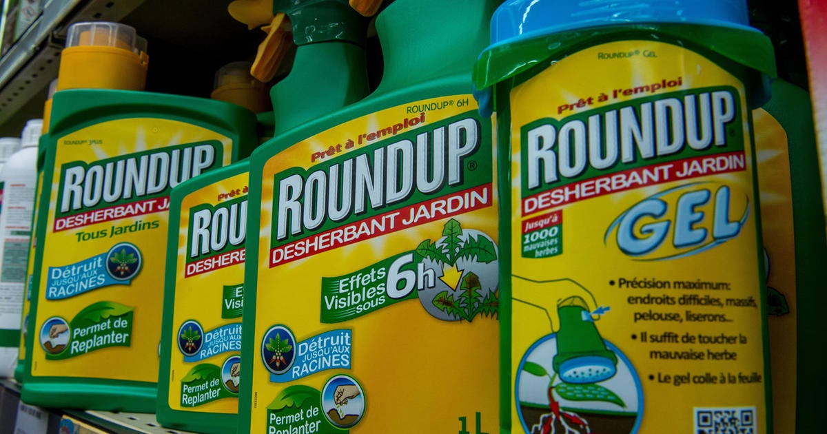 Roundup Weed Killer Jury Agrees Monsanto Chemical Contributed To California Man S Cancer Cbs News