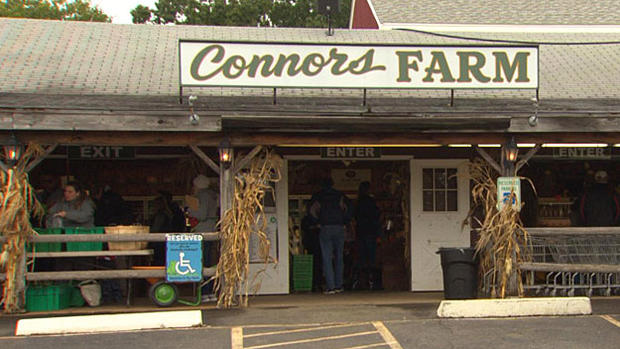 Connors Farm in Danvers 