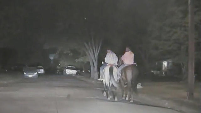 mesquite-horse-chase.jpg 