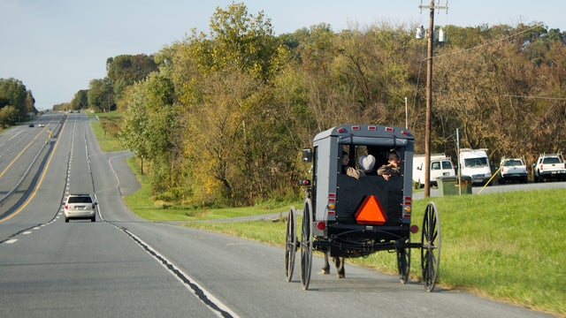 Amish buggy.jpg 
