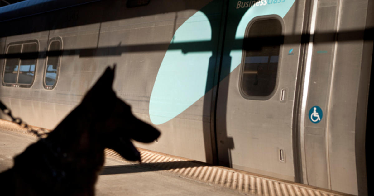 are dog allowed on amtrak