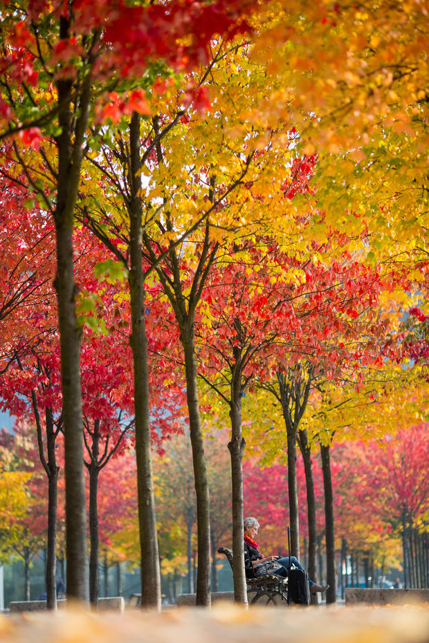 fall-foliage-ap789763434558.jpg 