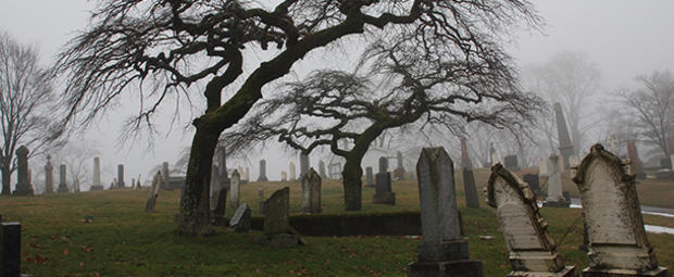 haunted graveyard 610 