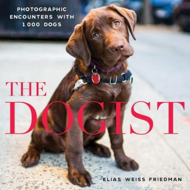 the-dogist-cover-465.jpg 
