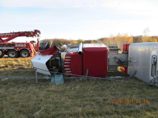 Overturned cattle truck 3 