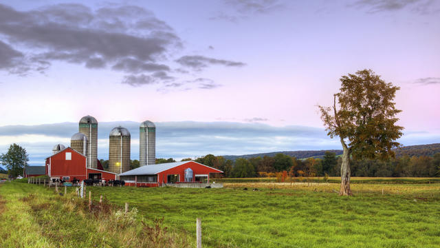 farm-local-food.jpg 