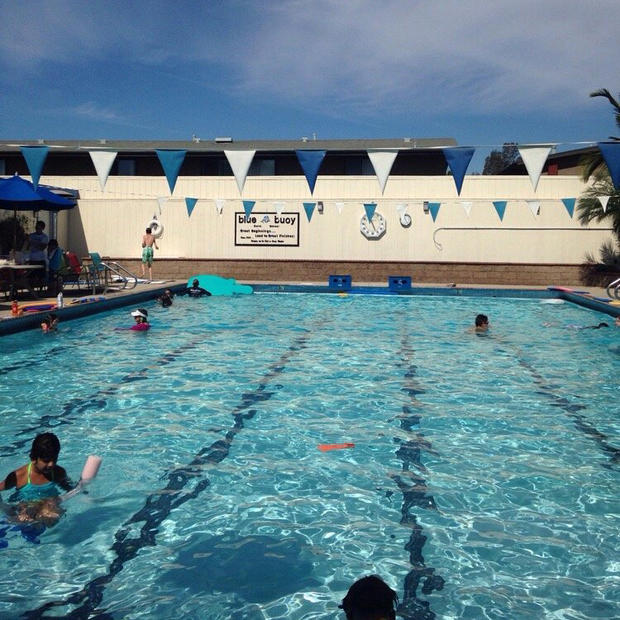 Blue Buoy Swim School 