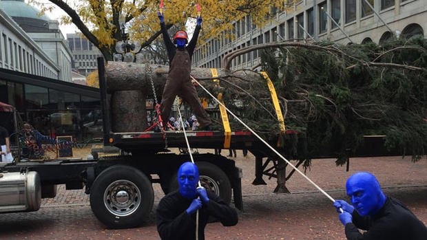 Faneuil Hall Tree Arrives In Boston 