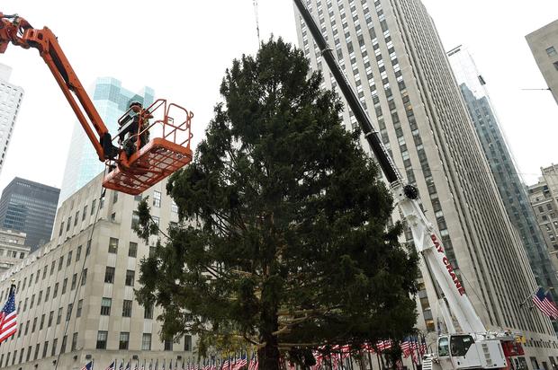 Tree Goes Up At Rockefeller Center 