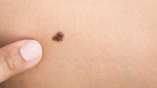 istock000060518970large.jpg 