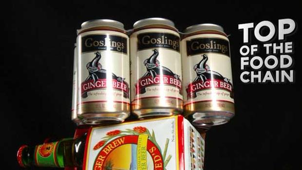goslings-ginger 