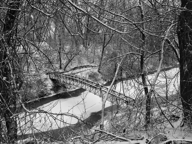 snow-maury-landsman-bassett-creek.jpg 